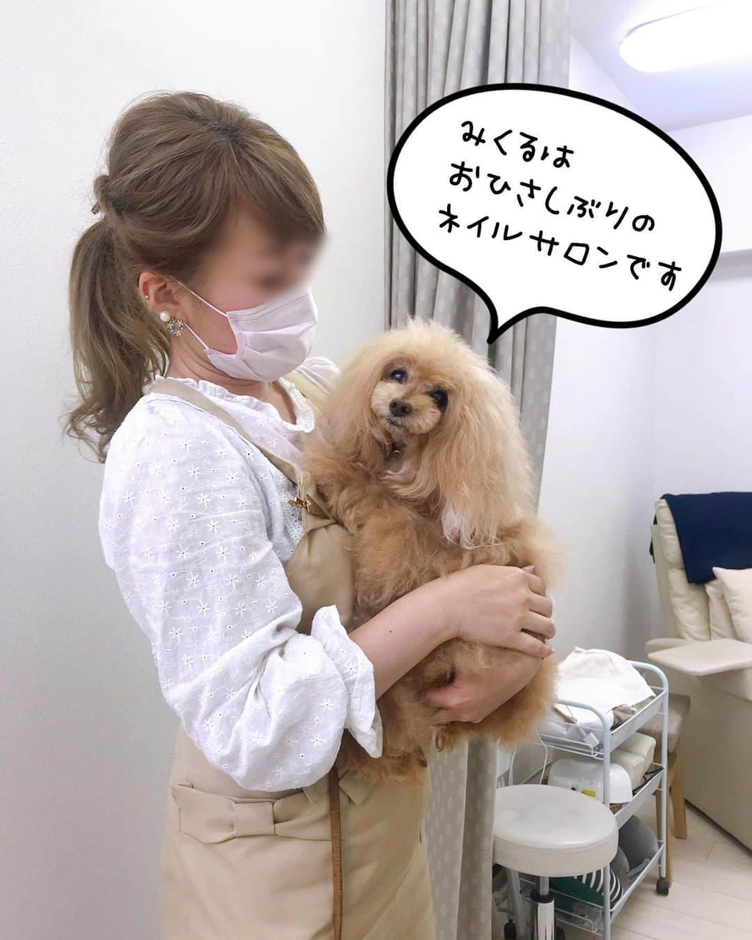 Toypoodle Mikuru?Asakusa Tokyoさんのインスタグラム写真 - (Toypoodle Mikuru?Asakusa TokyoInstagram)「In Ginza nail salon. みくるは久しぶりに、くそばばぁにネイルサロンにつれてってもらいました。 ここには、みくるの大好きな てんちょーさんがいるのに 雨が降るとつれてってくれません。 . 手術後初めててんちょーさんと愛の抱擁💖 みくるは愛されることが生き甲斐なんです😌 . #みくる日記 #みくるんとnail #カリスマネイリスト . ❶-❹ みくるん劇場 妄想かよ？ ❺ お目々拭いてくれる面倒見のいいカリスマ😄 ❻ オニクの夢見ながら待ってます😴 ❼ 前回のnail ❽ 今回のnail . ネイル💅前に ラフくんファミリー @laugh0903 と、しこたま飲んでおりました🍺 千鳥足で銀座へ向かったので 地下鉄乗り間違えて 遅刻しちゃいました😱⬅︎人として最低 ごめんねー🙏🏻🙏🏻🙏🏻😭😣💦 . 20190622 Saturday」6月28日 8時15分 - purapura299