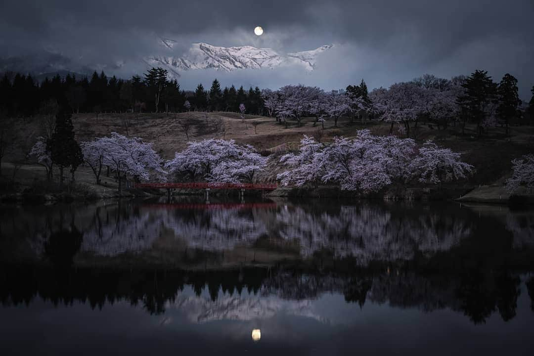 ニコンイメージングジャパン公式さんのインスタグラム写真 - (ニコンイメージングジャパン公式Instagram)「「東京カメラ部2019写真展」に協賛します！ . http://www.tokyocameraclub.com/special/exhibition_2019/ . ニコンイメージングジャパンは、7月12日（金）から2019年7月15日（月・祝）まで開催される、「東京カメラ部2019写真展」（会場：渋谷ヒカリエ）に出展いたします。 . 7月13日（土）、14日（日）には、東京カメラ部10選の半田菜摘氏、石田卓士氏のトークイベント「フルサイズミラーレスでとらえる、風景と生命」を開催します。ニコンの機材で撮影された作品を通じて、半田氏には動物写真、石田氏には風景写真の魅力や楽しさを語っていただきます。 みなさまのご来場をお待ちしております！ . 【東京カメラ部10選 半田菜摘氏、石田卓士氏トークショースケジュール】 開催日：7月13日（土）17:30～18:15、7月14日（日）14:30～15:15 開催場所：渋谷ヒカリエ9F「ヒカリエホール　ホールA」内特設ステージ （〒150-8510 東京都渋谷区渋谷2-21-1） 入場無料・事前予約不要・座席数の関係で立ち見の可能性もございます。 . 【ニコンイメージングジャパン特別展示コーナー】 さらに写真展期間中、会場の特別展示コーナーでは東京カメラ部10選の方々がフルサイズミラーレスカメラ「Z シリーズ」で撮影された写真展示をはじめ、本アカウント（ @nikonjp ）や 「Nightscape Gallery」「山のある風景写真館」 Facebookページにご投稿いただいた、ニコン機材で撮影された素敵な作品を展示予定です。 ぜひお立ち寄りください。 . ※作品 1枚目：半田菜摘　@handa.natsumi 2枚目：石田卓士　@takashi5868 . #nikonz7 #nikonz6 #Zマウント #ニコンZシリーズ #ニコンフルサイズミラーレス #Zマウントシステム #フルサイズ #フルサイズミラーレスカメラ #ニコン #nikon #一眼 #カメラ#camera #nikon📷 #nikonlove #NIKKOR #東京カメラ部2019写真展 #写真展　#東京カメラ部　#tokyocameraclub」6月28日 18時00分 - nikonjp