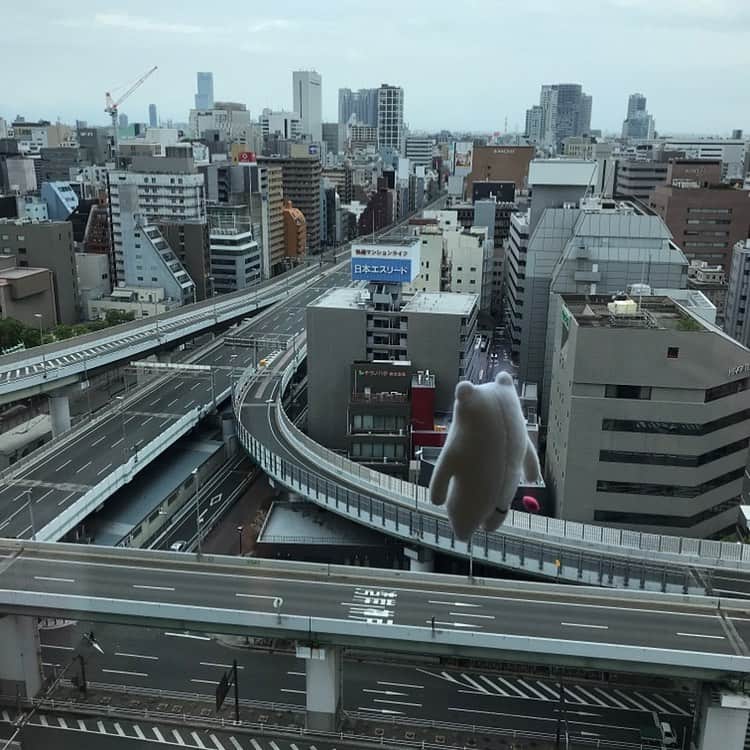 フィルたんさんのインスタグラム写真 - (フィルたんInstagram)「フィルたんだよ〜💬 . カフェ帰りに高速道路を見たら車が走ってなくてびっくり😵❗️ . G20大阪サミットの交通規制だってー❗️ 珍しい景色だねぇ😚 . #大阪サミット #高速道路 #珍しい」6月28日 18時12分 - filtan_official