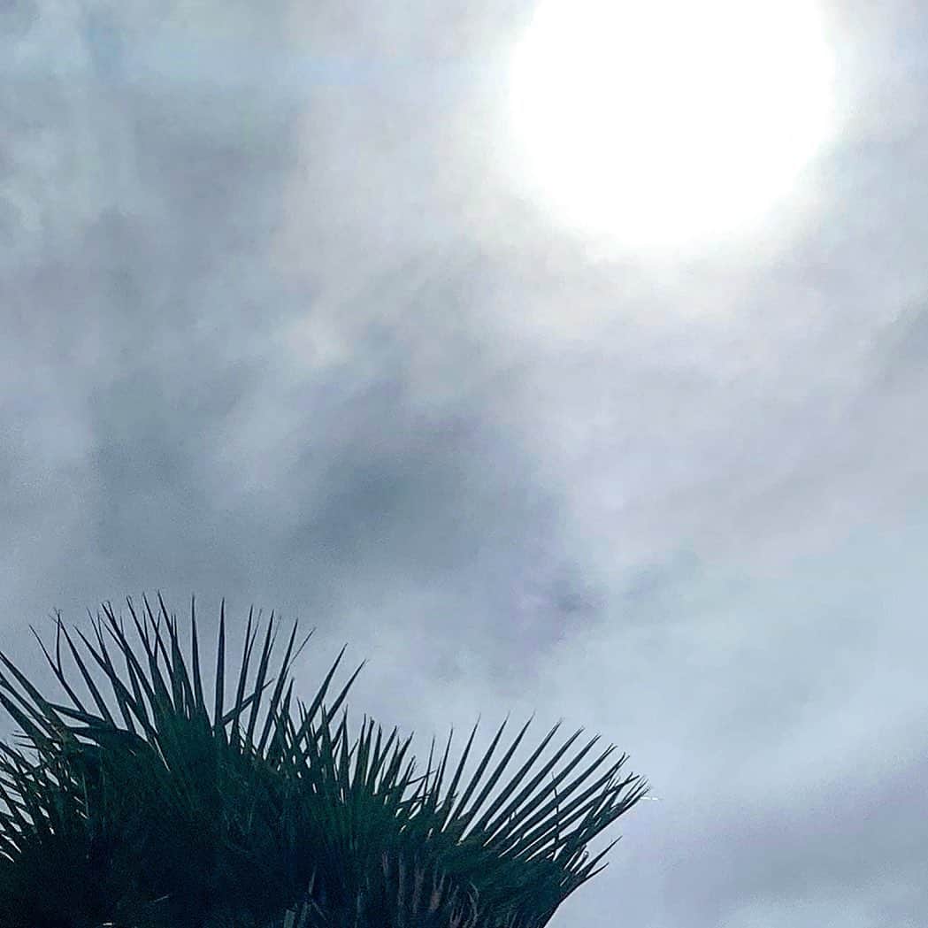 風間ゆみえのインスタグラム：「空港に到着すると、福岡の空には恵みの雨 例年よりも遅れて梅雨入りした模様。  翌日、糸島に足を伸ばそうと話していたら、嵐になりそうだと聞いたけど、わりと全天候順応型で、雨嵐がきらいではない私は迷いなく予定通りに(*･ω･)ﾉ  午前中、知人の紹介の鍼治療院の診療をおえて外に出ると、強い日差しを受けたアスファルトから立ちのぼる、湿度を帯びた熱気が肌にまとわりついて驚いた。 みんなが口を揃えてもう梅雨明け？かと笑う。  糸島へ向かう車中で、それぞれが晴れ女、晴れ男だと言う。いつもながら、雨だって好きな私もお日さまに恵まれがちだ。この車に乗った3人の力が雨雲を吹き飛ばすとは思わないけれど、そういったタイミングにそう言う場所に導かれて行っているのでしょうね！糸島に着くと、陽を浴びて海も青く、キラキラとしている。  ありがとうございます  ふかぁ〜く。」