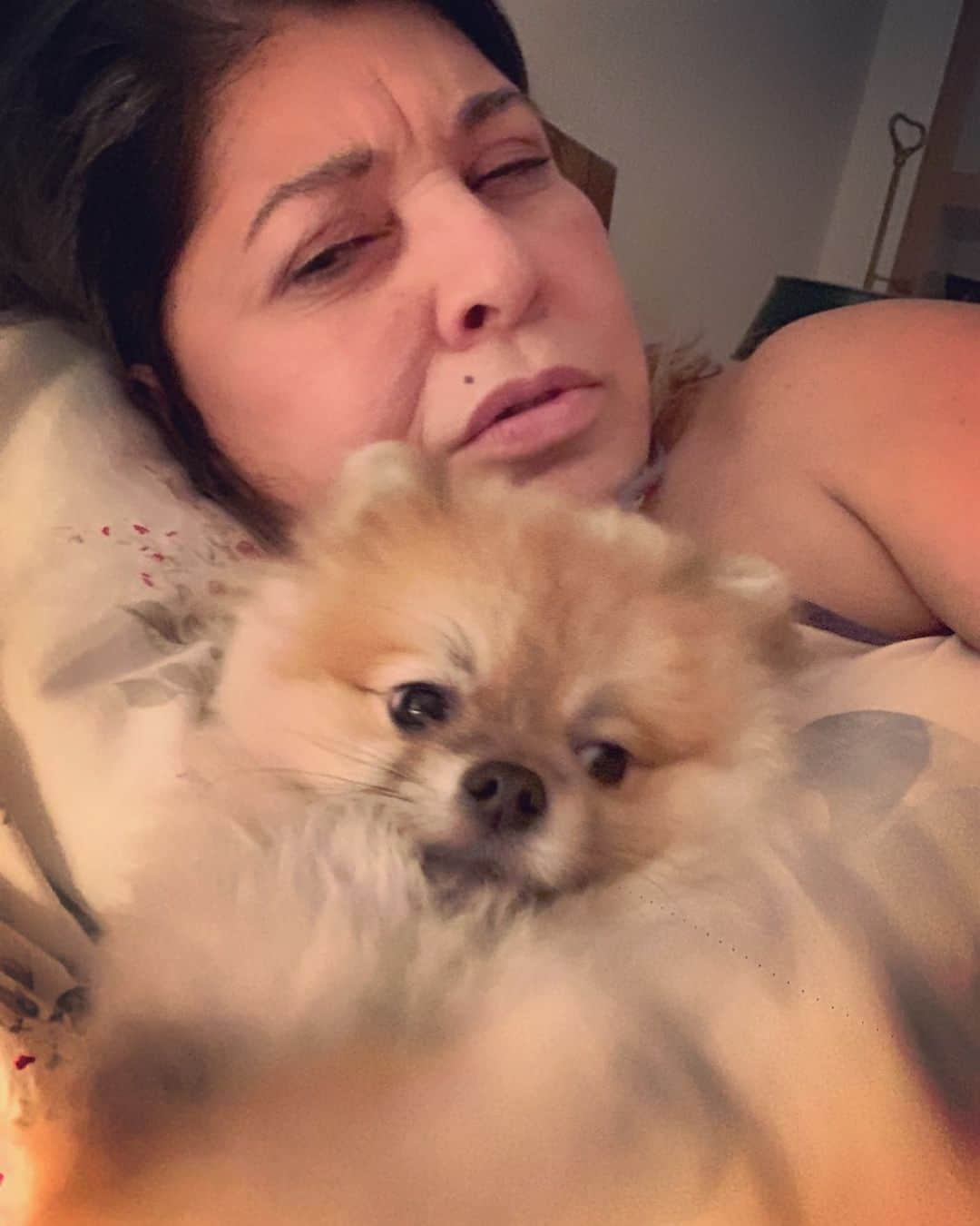 Roberta Mirandaさんのインスタグラム写真 - (Roberta MirandaInstagram)「Quem disse q consigo dormir!!! O tio @ricardorathge levou @severinormoficial para clínica o dr Marcos achou melhor ele ficar em observação . Está no soro. Comeu uma pomada e passou mal. Volte logo meu menino!!」6月28日 18時29分 - robertamiranda