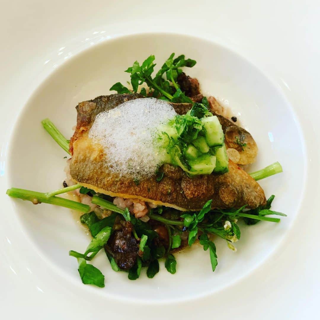 志摩有子のグルメインスタ