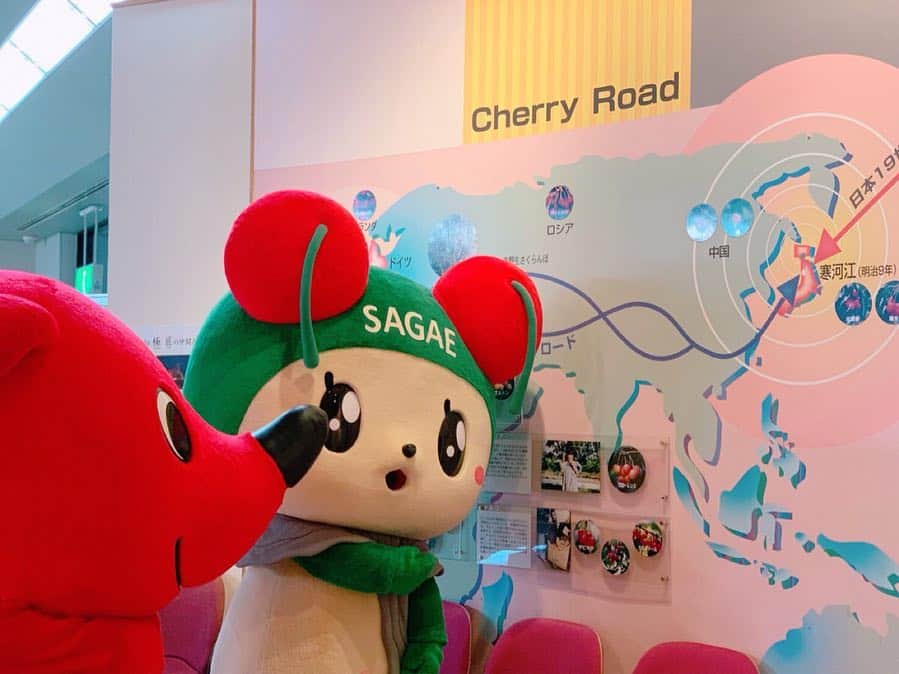 チーバくんさんのインスタグラム写真 - (チーバくんInstagram)「また遊びに行くよ🍒 #トルコアイス  #むきーーーっ  #トルコと姉妹都市  #さくらんぼの原産国  #おみやげ  #特産品  #手作りジェラート  #千葉にも遊びに来てね  #チェリン  #チーバくんの修学旅行  #チーバくん  #chibakun  #千葉県  #山形県  #寒河江市  #チェリーランドさがえ  #さくらんぼ会館」6月28日 18時57分 - chibakun0111