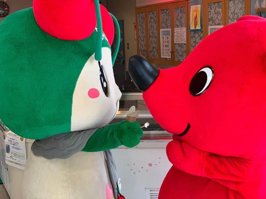 チーバくんさんのインスタグラム写真 - (チーバくんInstagram)「また遊びに行くよ🍒 #トルコアイス  #むきーーーっ  #トルコと姉妹都市  #さくらんぼの原産国  #おみやげ  #特産品  #手作りジェラート  #千葉にも遊びに来てね  #チェリン  #チーバくんの修学旅行  #チーバくん  #chibakun  #千葉県  #山形県  #寒河江市  #チェリーランドさがえ  #さくらんぼ会館」6月28日 18時57分 - chibakun0111