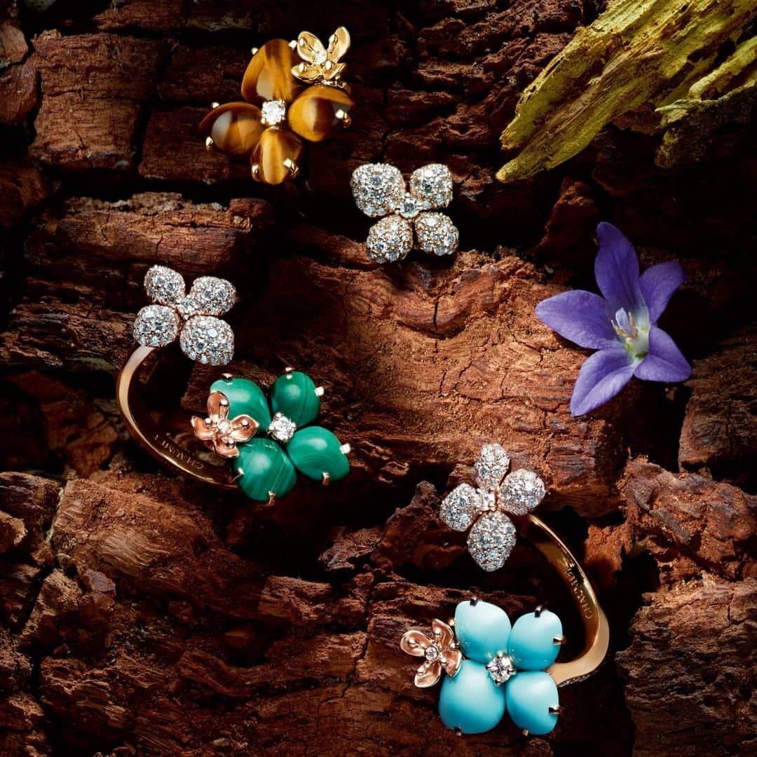 Chaumetさんのインスタグラム写真 - (ChaumetInstagram)「The Hortensia Eden rings are set with diamonds and with vibrant turquoise, malachite and tiger's eye gemstones, evoking a romantic and feminine look. #Chaumet #ChaumetHortensia #ChaumetJardins」6月28日 19時00分 - chaumetofficial