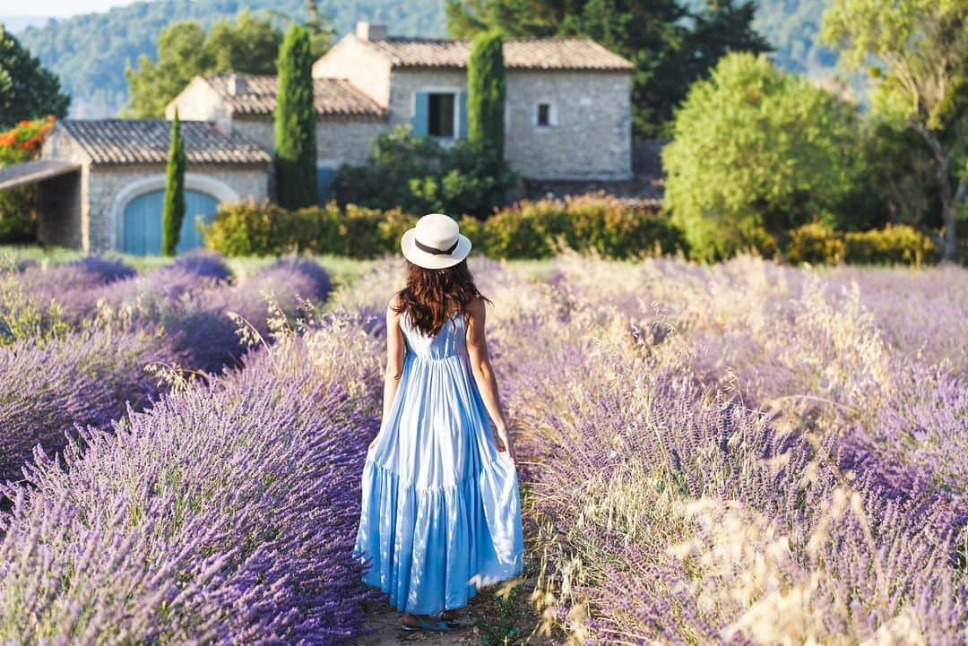 L'OCCITANE en Provenceさんのインスタグラム写真 - (L'OCCITANE en ProvenceInstagram)「6月も最後の１週間。来週からついに7月✨ ﻿夏本番がやってきますね🍉﻿今月も、みなさまからたくさんの﻿「いいね」や「コメント」をいただきました🙏﻿ ﻿ いつもロクシタンジャポンのインスタグラムを﻿ 応援していただき、ありがとうございます！﻿ ﻿ ますます暑さも増してくる7月。﻿ 太陽の光も味方に美しく輝けるような、﻿ 毎日をハッピーに過ごせるキレイのコツ🌿を﻿ これからもお伝えしていきます！﻿ ﻿ 7月も、どうぞよろしくお願いします😊﻿ ﻿ #ラベンダー #ラベンダー畑 #絶景 #世界の絶景 #南仏 #旅行 #海外旅行 #プロヴァンス #ロクシタン #花畑 #美容 #美 #キレイになりたい #ビューティー #コスメマニア #美容 #フォトジェニック #フランス旅行 #フランス旅　#🇫🇷 #夏旅 #ワンピース #ありがとう #インスタグラム #コスメ好きさんと繋がりたい #いい写 #Loccitane #provence #lavender」6月28日 19時01分 - loccitane_jp