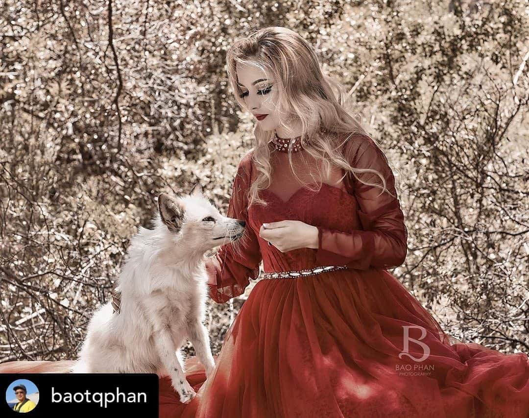 Rylaiさんのインスタグラム写真 - (RylaiInstagram)「Capturing the connection of two souls.... the respect, Love, and comfort cherished.... #human-caninebond . Posted @withrepost • @baotqphan Photo session at The Judith A Bassett Canid Education and Conservation, a non profit organization. @jabcecc Designer: @ggconnections  Model: @sativa_grace with  Russian Domestic Fox Ambassadors Maksa Lashed by @Luna_bear_lashes  #instagood #instagram #models #bayareamodels #photoshoot #portraitstream #dynamicportraits #instaart #creativecollective #justgoshoot #postthepeople #theglobalwanderer #fadedspirits #ig_color #thelensebible #thebestcapture #exploretocreate #explore #bayareaphotography #modeling #nyfw #lafw #oaklandfashionweek #sandiegomodel #sandiegomodels #theworldofportraits #russiandomesticatedfox」6月28日 10時37分 - jabcecc