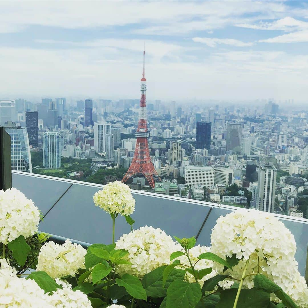 松田悟志さんのインスタグラム写真 - (松田悟志Instagram)「６月らしい風景…？ #絶景  #😎」6月28日 11時25分 - matsuda_satoshi1216