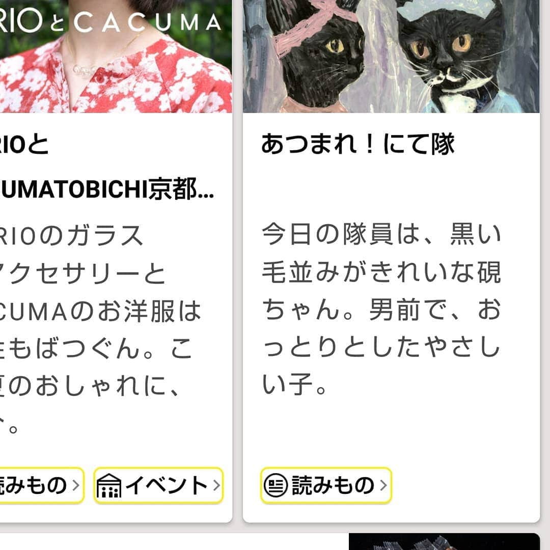 タンゲクンさんのインスタグラム写真 - (タンゲクンInstagram)「あつまれ！にて隊 今日の新しい隊員は 顔は黒くてもお腹は白いの 涼んでって  #にて隊  #にて隊ばんぷきん組  #ほぼ日刊イトイ新聞」6月28日 11時33分 - etsukomiuze