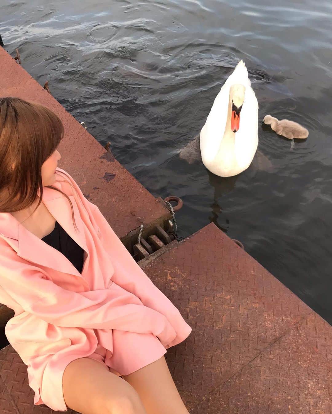 月中秋実さんのインスタグラム写真 - (月中秋実Instagram)「ギューー👻 ・ ・ 湖みてたら白鳥の親子がきました🦢 噛まれるし、笑い止まんないし 白鳥の子どもめちゃくちゃ可愛いし💕 ・ ・ 醜いアヒルの子は存在しませんでした。 ・ 初めて白鳥の子見たけどフサフサで 小さくてずっとよちよちに泳いでて ずっとお母さんの後ろに隠れてて もう、可愛い要素しかなかった。😭😭 ・ ・ #白鳥#親子#醜いアヒルの子#存在しない#噛まれる#怖い#笑#ぎゅー#遠足#気分#楽しい#自然#大自然#触れ合い#触れ合う#休み#プライベート#休日#解放#開放感#面白い#動画#ムービー」6月28日 11時36分 - tukinakaakimi