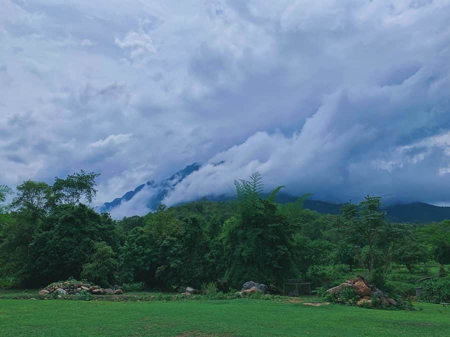 Amata Chittaseneeさんのインスタグラム写真 - (Amata ChittaseneeInstagram)「🌼สนใจกิจกรรมอ่านด้านล่างฮะ 🌼 🌳ไปกับ @readthecloud.co 🌳 #ปลูกต้นไม้ให้เป็นเมฆ  วิชา: ปลูกต้นไม้ในใจ  ณ ค่ายเยาวชนเชียวดาว *@zcongklod ขอบคุณพี่ก้องที่ชวนหนูไปทำกิจกรรมดีๆเสมอเลยฮะ ได้เรียนรู้มากมายเกี่ยวกับชีวิต ทั้งตัวเราและโลกที่เราอยู่ พบเรื่องดีๆและเจอแต่ความสุขใจในมิตรภาพของเพื่อนใหม่ทุกคนที่ไปด้วยกัน (แก๊งค์The cloud ใหญ่มาก 😎) 🐻🐻🐻🐻🐻🐻🐻🐻🐻🐻 ปู้นนนนนนๆๆๆ 🚃 เค้ากับ @kaitunnue ตื่นเต้นมากๆเลยที่ได้มานอนรถไฟไทยครั้งแรก🤡 12 ชมขึ้นสู่เชียงใหม่จ้าววว สบายมากๆ นอน ตื่นมาดูวิวเขียวๆตอนเช้า Sidenote: บนรถไฟหนาวหน่อย เตรียมแขนยาวไปด้วย  ถึงแล้วก็ไปที่ค่ายกันเลย ค่ายเยาวชนเชียงดาว ป่าหลังฝนที่สดชื่นจังเบย🐛🐛🐛🐛 #pearypiegoesgreen #Thailand #chiangmai #Chiangdao  First time on a sleeping train from Bangkok to Chiangmai! LOVE IT 🐛🌳🌳🌳🌳🌳🌳🌳🌳🌳🌳🌳🌳🌳🌳 🌳 🌼กิจกรรมแบบนี้ 🌼 เปิดรับสมัครมนุษย์ที่อยากเรียนรู้ธรรมชาติ และปลูกต้นไม้ จนถึงเดือนสิงหาคม ป่าหน้าฝน🐛 ทุกเสาร์ อาทิตย์ กค.ถึง สค. 9 โมงเช้าพบกัน ที่ค่ายเยาวชนเชียงดาวกับ อ อ้วน มีเมล็ดพันธุ์ไม้ กล้าไม้เยอะแยะ ให้เด็กๆได้ช่วยกันปลูก ให้เป็นป่าต้นน้ำแม่ปิง รอบดอยหลวงเชียงดาว  และกิจกรรมสุดยอดทรงคุณค่าที่รูปแบบสนุกๆและอื่นๆ ติดตาม @readthecloud.co  ขอบคุณ fern roommate เตียงด้านล่าง ถ่ายรูปให้คนบ๊องค์ถือไข่ตุ๋น」6月28日 11時54分 - pearypie