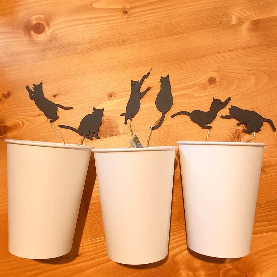 紀伊さつきのインスタグラム：「学生さんたちがくれたお土産。 その名も#ねこ茶 。 ティーバッグの先に可愛い黒猫ちゃんたちが付いているのです！ 様々なポーズの猫ちゃん。 うーん、、迷っちゃう！ ありがたくいただきました💓 ・ #あなたはどの猫ちゃん？ #わたしは右から2番目派 ・ #静岡茶 #緑茶 #ティーバッグ #お土産 #猫 #黒猫  #japanesetea #greentea #cat」