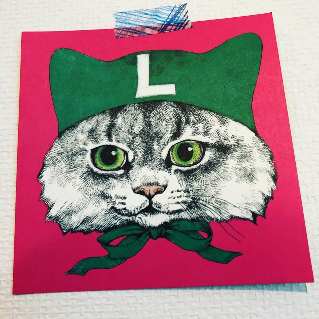 松井玲奈さんのインスタグラム写真 - (松井玲奈Instagram)「ヒグチユウコさんの描く猫。 この前まで壁に沢山貼ってました。 今日は『今日も嫌がらせ弁当』の舞台挨拶です。 ついに公開日。お弁当の写真を載せるべきだったかしら。 劇場へ皆さん、是非。 #ヒグチユウコ #猫  #今日も嫌がらせ弁当」6月28日 12時19分 - renamatui27