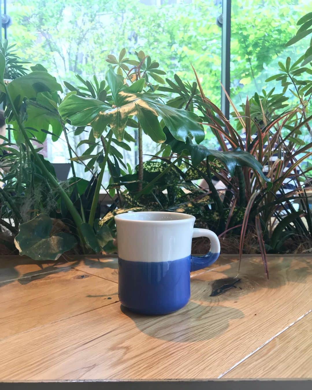 goodcoffeemeさんのインスタグラム写真 - (goodcoffeemeInstagram)「撮影タイムat Jaho today! @vja  #goodcoffee_tamachi #goodcoffee_mita #goodcoffee_tokyo #jahocoffeeroastersandwinebar」6月28日 12時21分 - goodcoffeeme