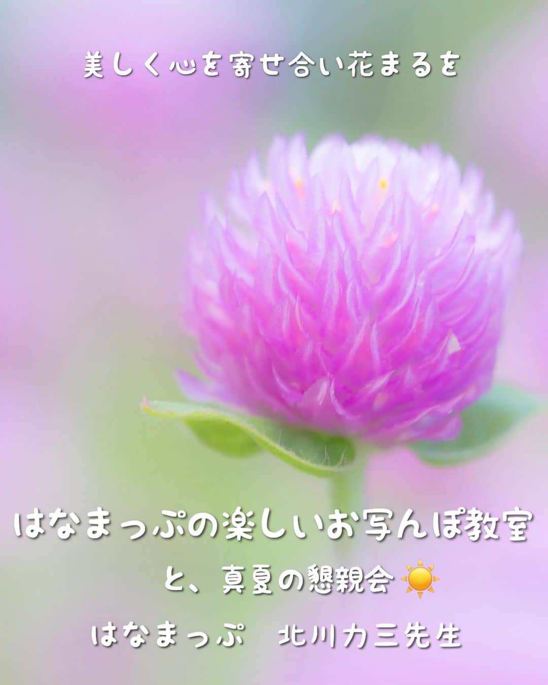 はなまっぷ❁日本の花風景のグルメインスタ