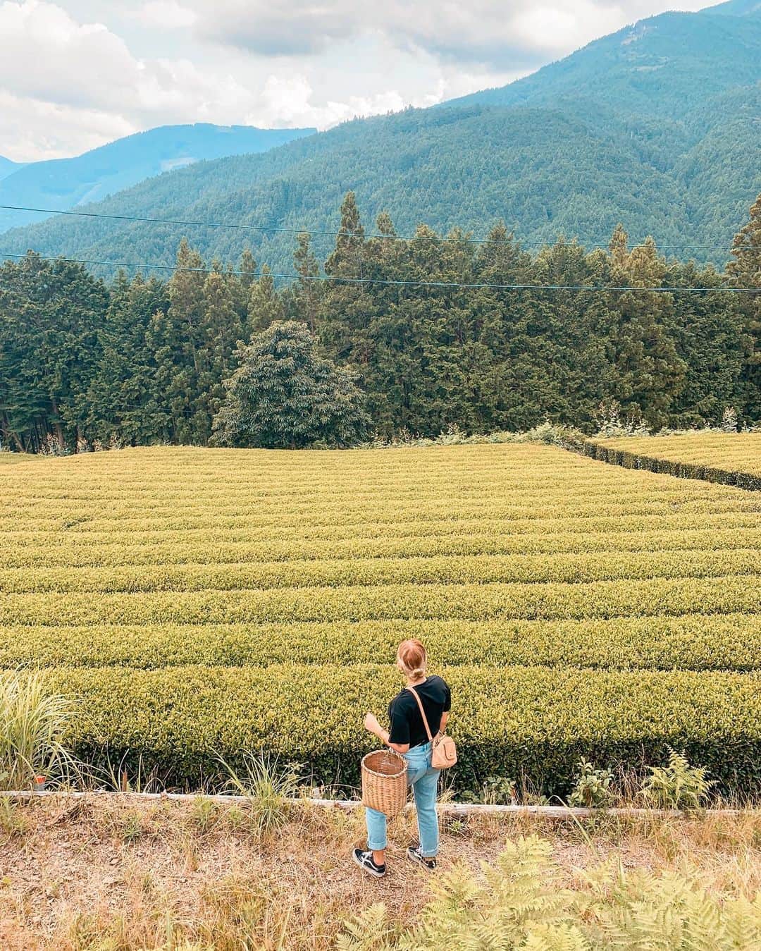 kawanepassportさんのインスタグラム写真 - (kawanepassportInstagram)「Kawane’s incredible landscapes, in the green tea cultivation. You can’t stop looking at them without feeling magical🌱🌱🌱 ! #exploreshizuoka #ファインダー越しの私の世界 #japan_of_insta #japanculture #kawane #kawanehon  #kawanepass #kawanepassport #shizuokaprefecture #greentea #matchatea #teverde #japanphoto #igersjp」6月28日 12時47分 - kawane_passport