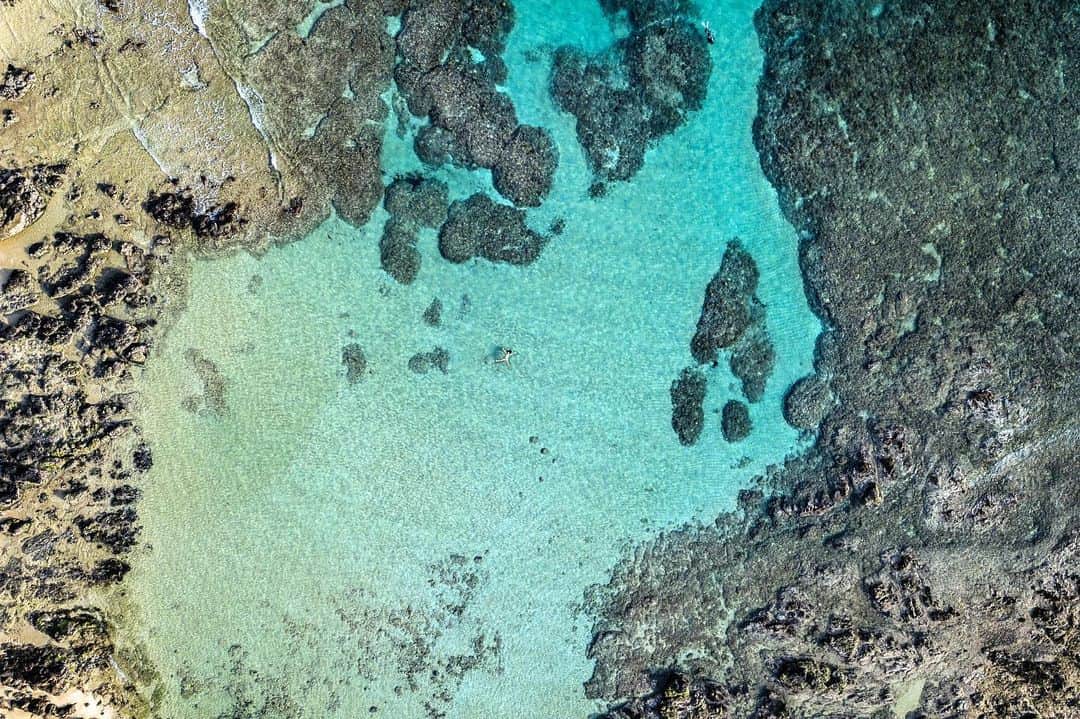 二木あいさんのインスタグラム写真 - (二木あいInstagram)「La Planeta 🌏 Photographed @fabricedudenhofer/Edited by Verónica Espericueta Blázquez/Special Thanks @divingshop_neverland @cyokkun222 #amami #japan #discoverjapan #nature #earth #planeta #地球 #serenity #calmness #beauty #tranquility #oneness #ocean #water #sea #freediving #drone #underwaterphotography #aifutaki」6月28日 12時53分 - aifutaki