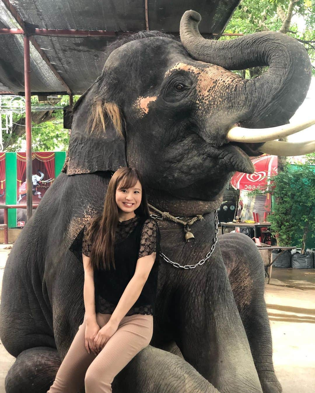 安田七奈さんのインスタグラム写真 - (安田七奈Instagram)「ゾウさんの足はチクチクしました🐘  #ゾウ #タイ #thailand #thailand🇹🇭 #安田七奈 #なーちゃ #レースクイーン #rq #k1ガールズ #ラウンドガール #グラビア #グラビアアイドル #グラドル #イースマイル #ひたすら1万回 #weds #ウェッズ #wedssport #bandoh #wedssportracinggals #followme #japanese #japanesegirl #instagood #instalike #photooftheday #팔로우 #얼스타그램 #粉我 #非常好」6月28日 13時16分 - nana_yasuda