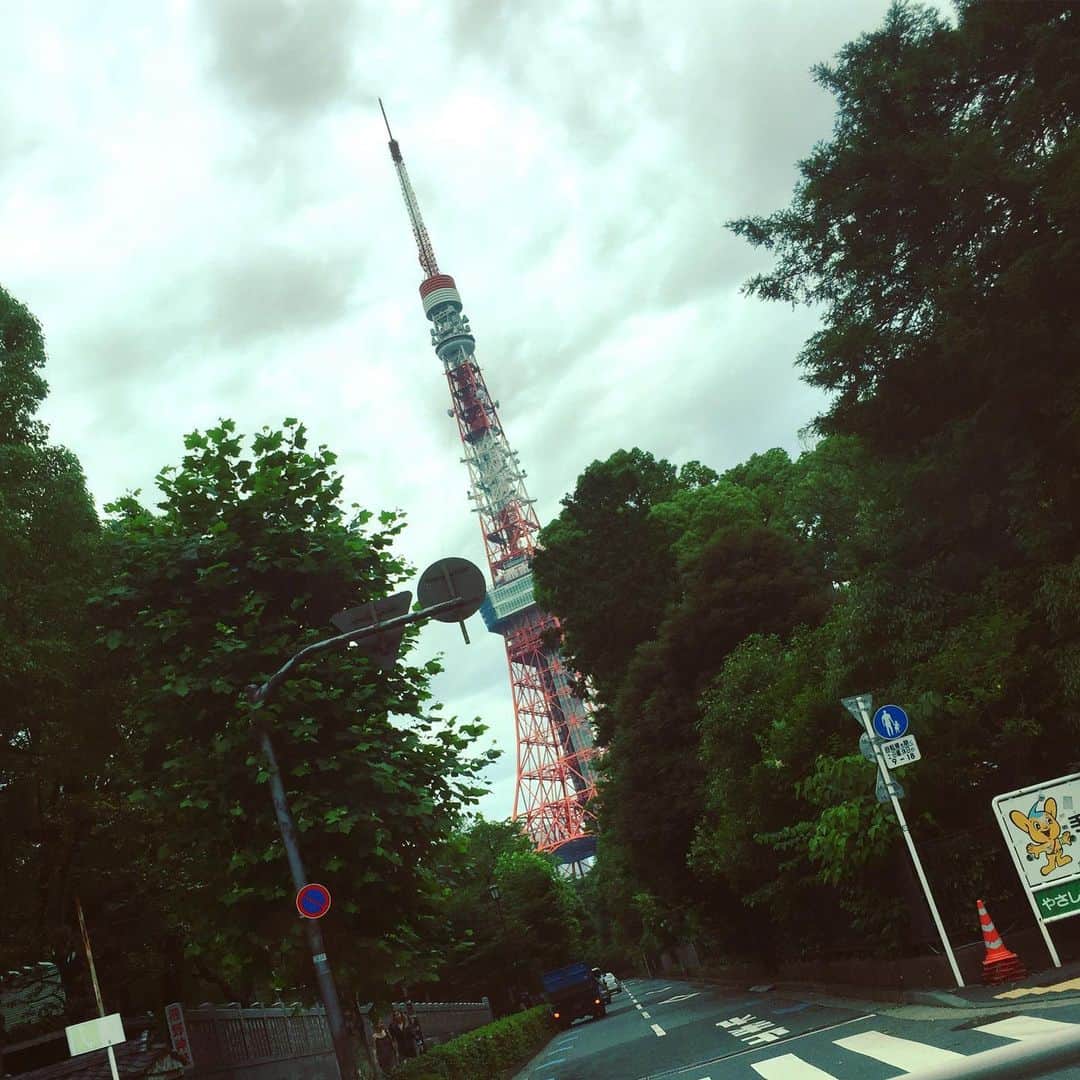 のインスタグラム：「東京のタワー #通っただけ」