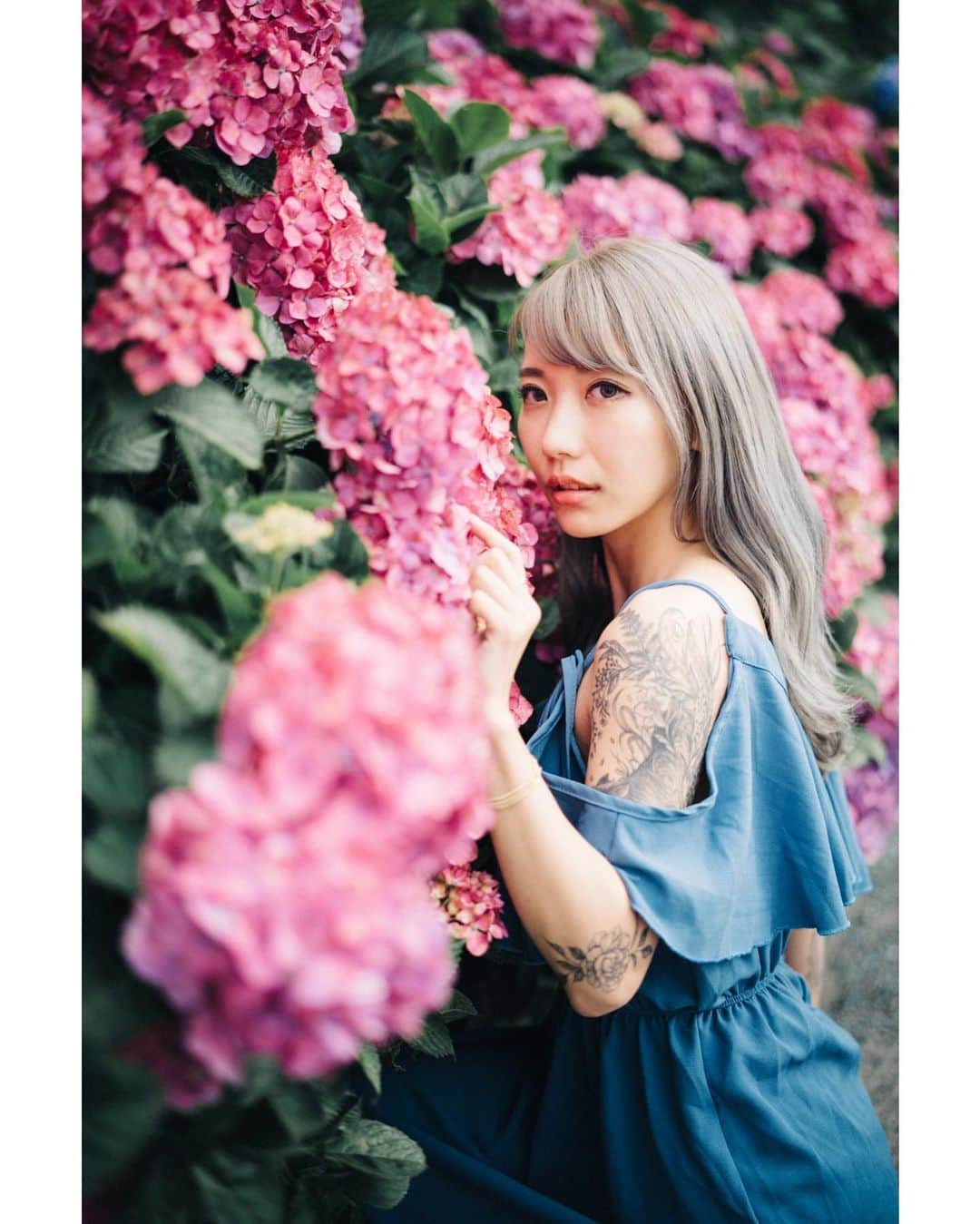 GENTAのインスタグラム：「💠 東京の紫陽花もそろそろ見納めですね。 #planar」