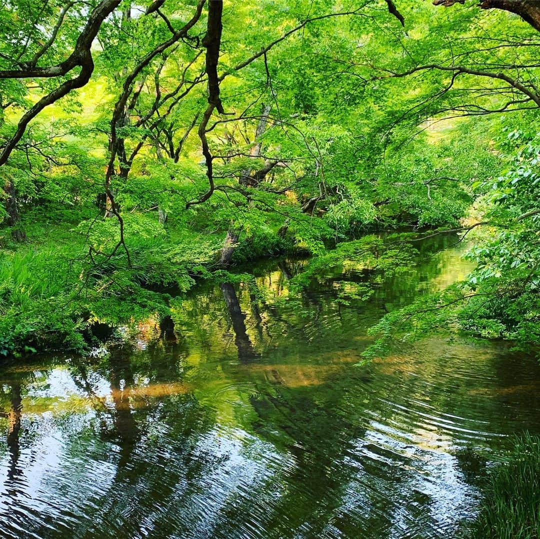 齊藤美絵さんのインスタグラム写真 - (齊藤美絵Instagram)「水になる。  #強い反発のエネルギーを受けたとき #御言葉 #ツタエルヒト。」6月28日 14時48分 - saitomie