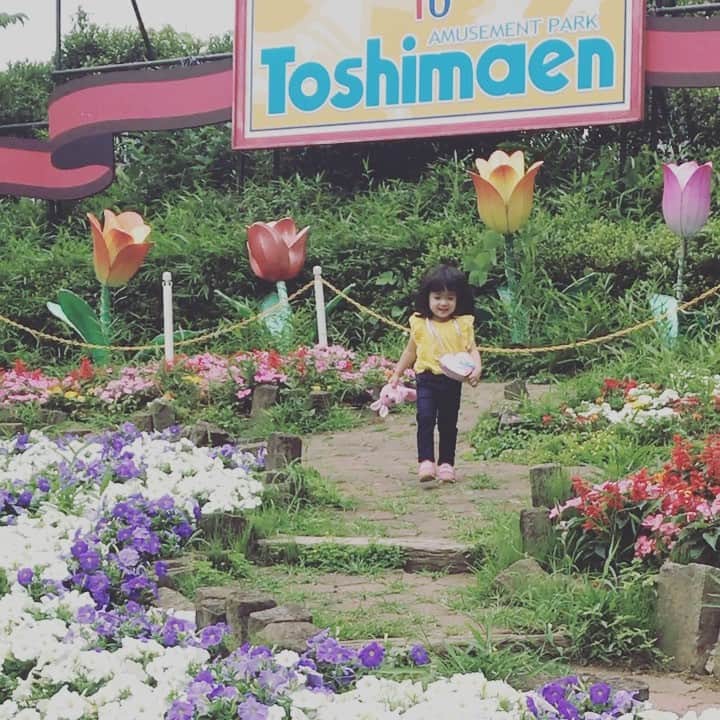 日高薫のインスタグラム：「お花が💐好きな娘ちゃん🌻🌷😌❤️ 貸切状態で嬉しそうでした😄☀️🐝🦋 #としまえん #お花畑 #活発な女の子 #女の子ママ #2歳7ヶ月」