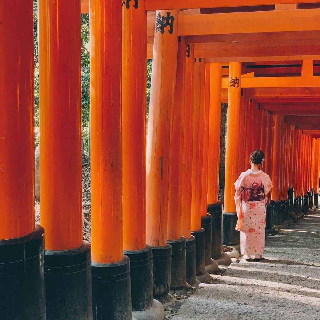 Daniel Waldronさんのインスタグラム写真 - (Daniel WaldronInstagram)「Gates for days ⛩」6月28日 15時09分 - dew