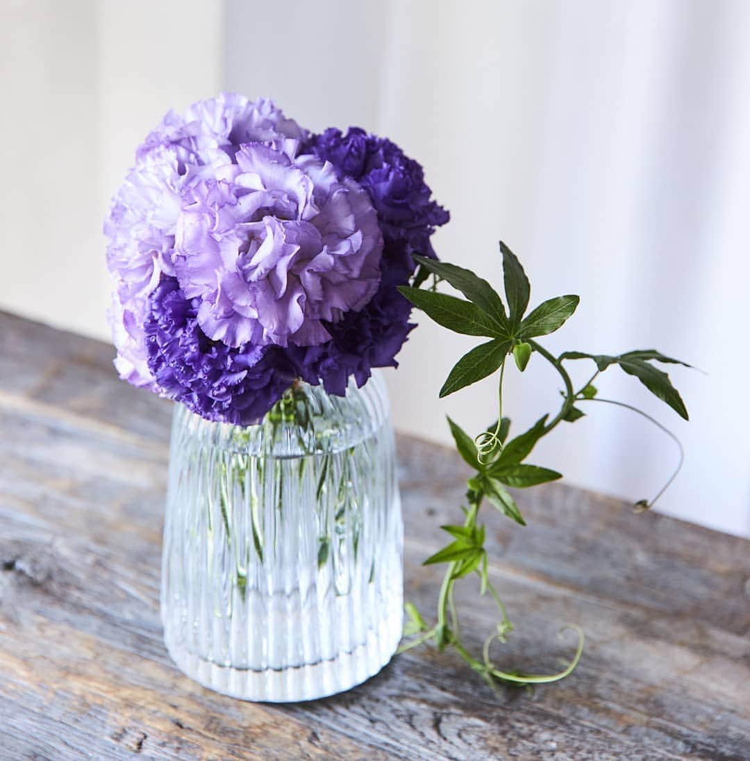 青山フラワーマーケットのグルメインスタ