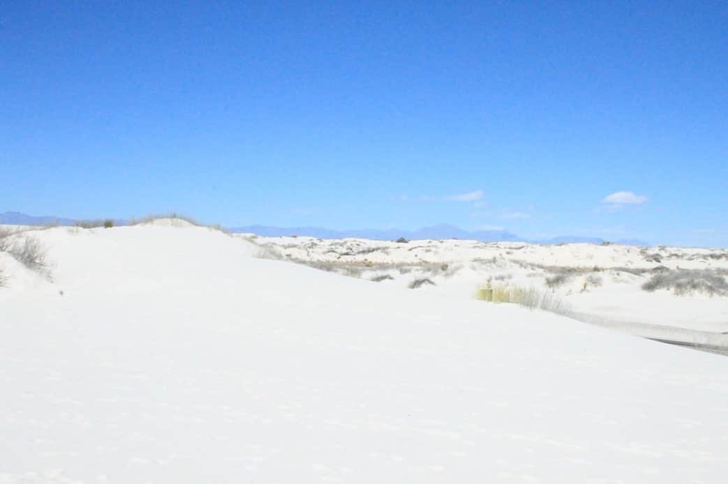 アメリカ大使館さんのインスタグラム写真 - (アメリカ大使館Instagram)「塗り絵みたいな景色は、#ニューメキシコ 州の国境近くにあるその名もWhite Sands National Monument(ホワイトサンズ国定公園)です👀！ 青と白のコントラストが凄すぎます。この景色の中を進んでいくのは本当に不思議な気分。 . #us #usa #america #white #blue #whitesands #bluesky #roadtrip #national #park #monument #studyabroad #アメリカ #留学 #旅行 #海外生活 #空 #公園 #景色 #ドライブ #国立 #白 #青 #instaphoto #newmexico #塗り絵 #絵の具 #painting」6月28日 17時06分 - usembassytokyo