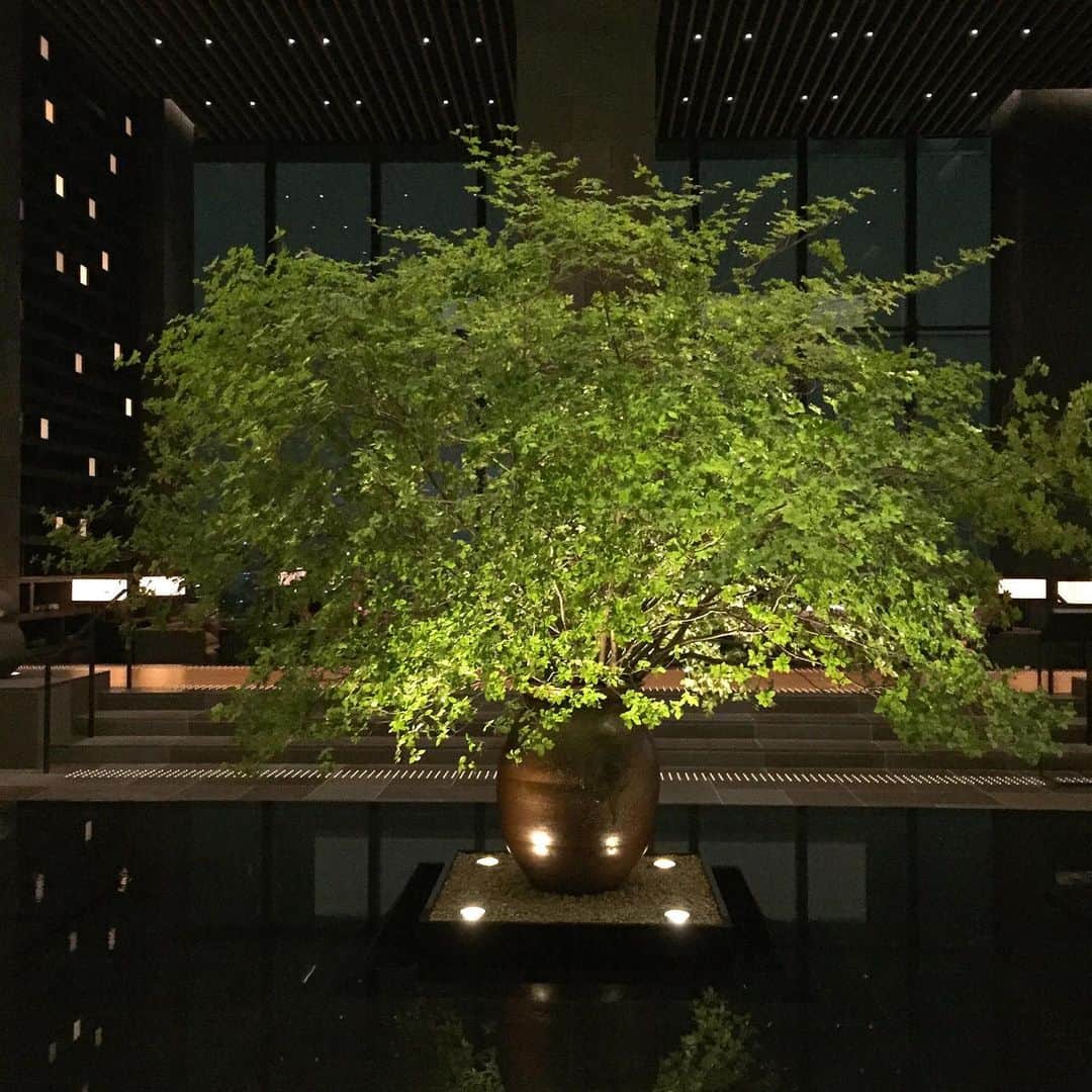 大手小町さんのインスタグラム写真 - (大手小町Instagram)「大手町のホテル・アマンにお邪魔しました。ラウンジにとても清々しい緑。素晴らしい生け込みです。都会のオアシスですね。  #otekomachi #大手小町 #aman」6月28日 17時07分 - otekomachi