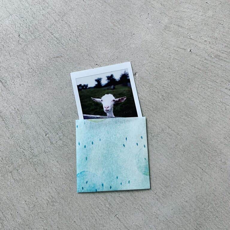 手紙社さんのインスタグラム写真 - (手紙社Instagram)「【「紙博 in 東京 vol.3」出展者が教える紙ものレッスン ⑦ 〜 ちいさな封筒の作り方 〜 】 紙博出展者が教える「紙ものレッスン」も残すところあと2回となりました。第7回は、ヨハクがオリジナルデザインペーパーを使って、スクラップのページにぴったりなちいさな封筒の作り方を教えてくれます！　マスキングテープなどのアイテムとコラージュすれば、開くたびにうっとりするスクラップページの完成。旅先で出会ったショップカードや撮影したチェキをいれたり、切手や小さなメモ帳をいれておいたり……あなたのたくさんの思い出を、ちいさく大切にしまっておく封筒を作ってみませんか？ ※今回使ったヨハクのオリジナルペーパーは、ヨハクのブースで購入することができます . ▶︎詳細はプロフィール「@kamihaku2019」のハイライトへ . ▶︎ボランティアスタッフ募集中！ 詳しくはプロフィールのハイライトへ！ . #手紙社#手紙舎#tegamisha#紙博#kamihaku#紙博in東京#浅草#紙もの#ペーパーアイテム#紙ものレッスン#マスキングテープ#ヨハク#コラージュ#スクラップ#封筒#デザインペーパー」6月28日 17時17分 - tegamisha