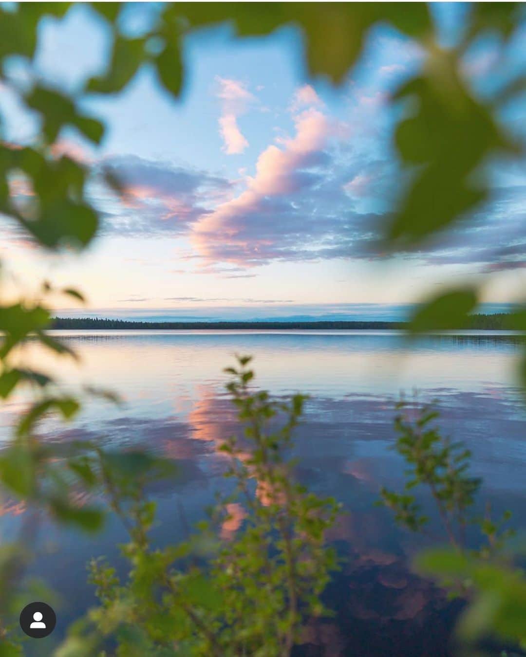 フィンランド政府観光局さんのインスタグラム写真 - (フィンランド政府観光局Instagram)「スイートな夏の色💜 ． @samimatias さんの写真。Kiitos！」6月29日 3時04分 - visitfinlandjapan