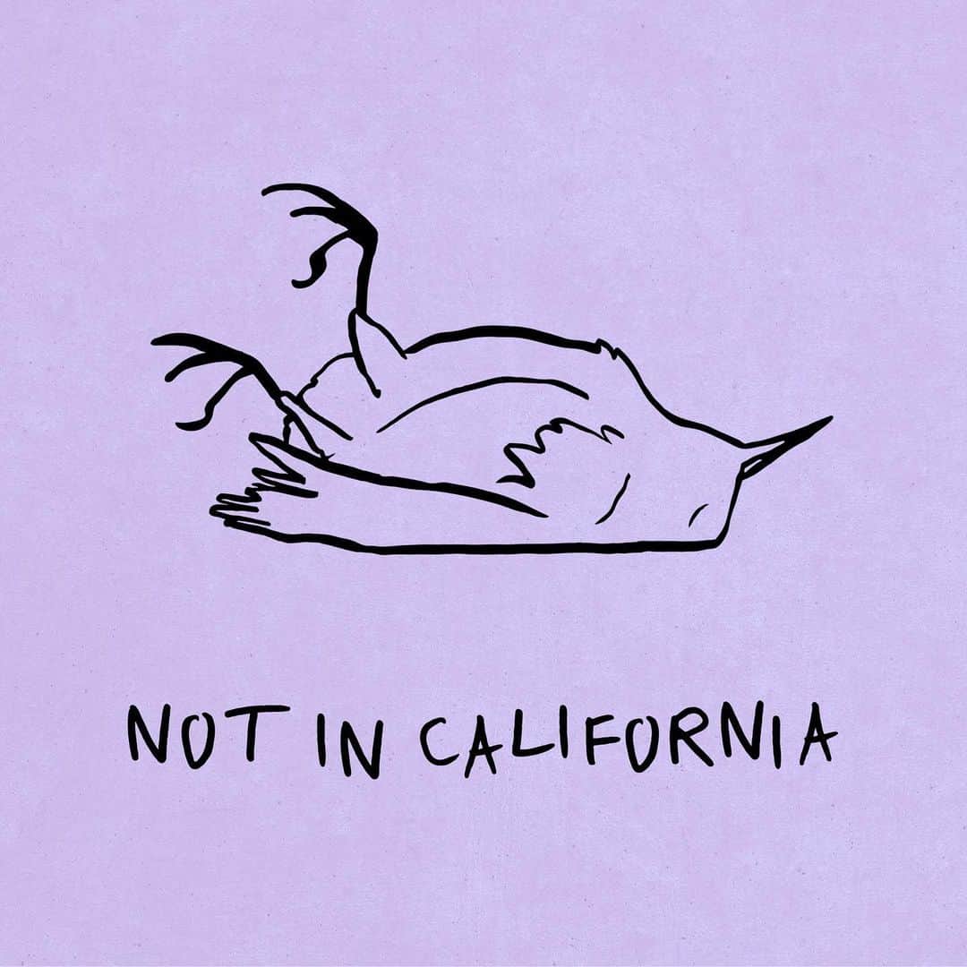 のインスタグラム：「New @kflay out today. Co-written with / produced by @iamtommyenglish. Last fall the three of us took a trip to the coast in northern california to write for a week. We stayed in a beautiful and strange house on a hill made out of wood from old ships that has one of the coolest studios I’ve ever seen inside. Spent the mornings hiking and fishing and running on the beach and the afternoons and evenings writing, talking, cooking and playing music. It was an amazing week and I love the music that came out of it. #notincalifornia」