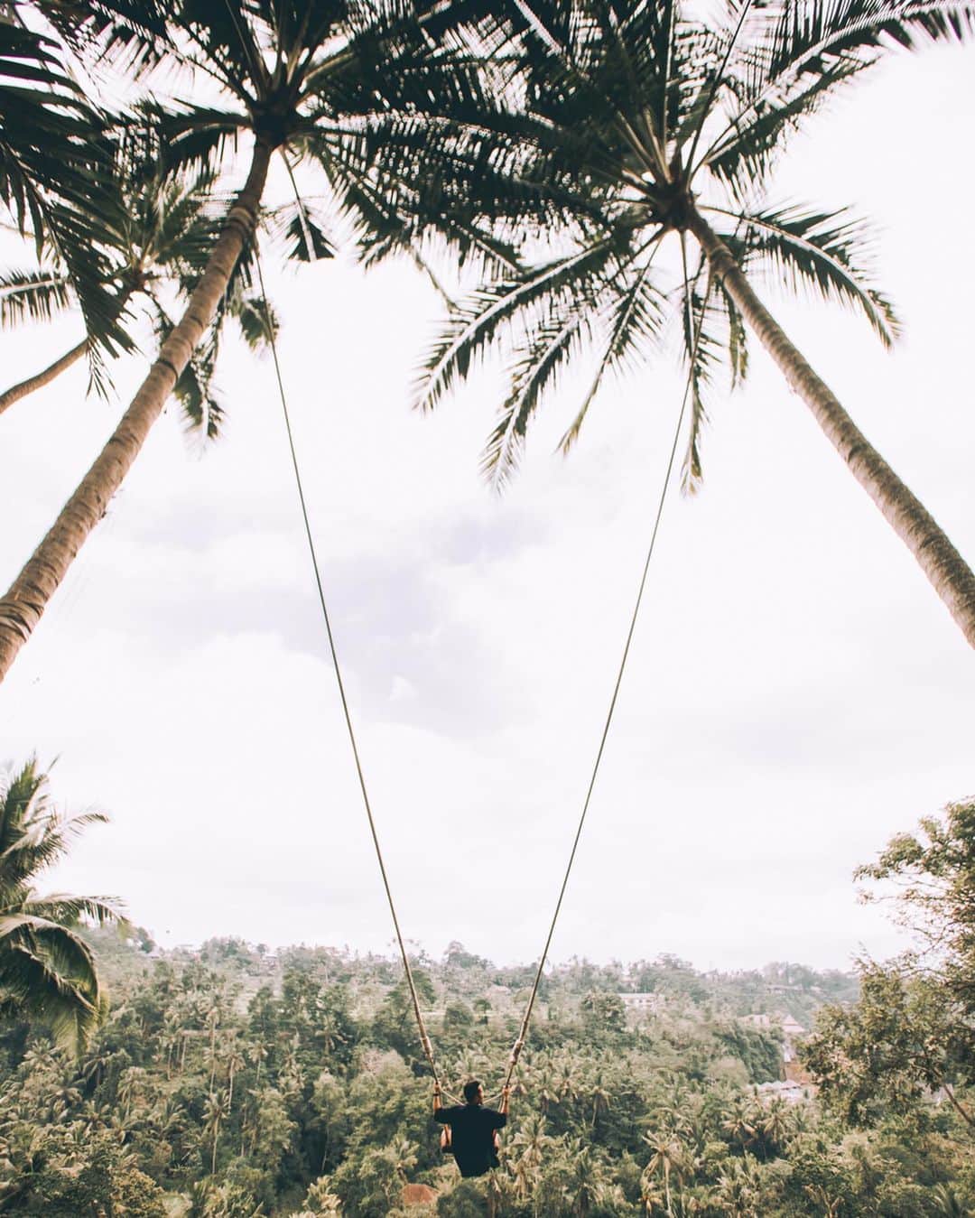 s ᴇ  ɴ ᴋ ᴄさんのインスタグラム写真 - (s ᴇ  ɴ ᴋ ᴄInstagram)「Miss the greenery scenes all the way in Bali 🌴 #seanalogue .」6月28日 19時26分 - seankc