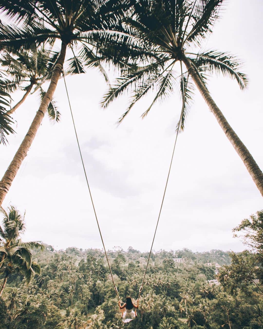 s ᴇ  ɴ ᴋ ᴄのインスタグラム：「Miss the greenery scenes all the way in Bali 🌴 #seanalogue .」