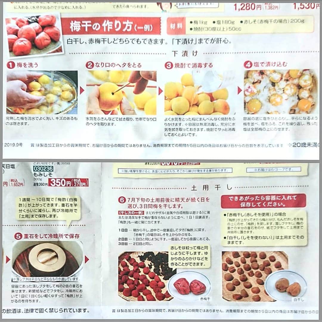 miyukiさんのインスタグラム写真 - (miyukiInstagram)「. ✾梅仕事Part1✾ ～梅干し&紅生姜～ . . 毎年挑戦してみようと思いつつ なんだか重い腰が上がらず 時期を逃していた梅仕事！ . . . ついに今年手を出しましたー(/∀＼*) そして試してみたかったの とことん色々作りました(笑) まず第1弾は梅干し！ . . . 実家の母も作ってたんですが まぁ手伝った事も無ければ 作ってる所見たこともほとんどなく(ﾉ∀<｀) この歳になって手探り初挑戦です！ . . . コープ自然派さんに載ってた 作り方(写真参照)を参考に瓶で♪ 袋に水を入れて重石にして 3～4日で梅酢が上がってきて 昨日赤紫蘇入れました！ . . . 赤紫蘇はコープ自然派さんで売ってた 既に揉み紫蘇になってるやつを！ そしてｸｯｸﾊ゜ｯﾄﾞID:[2293628]を参考に ついでに新生姜も入れて 紅生姜も一緒に作る事に(*´艸`) . . . 新生姜は干すって書いてたんですが 紫蘇仕込んる時(しかも雨の日)に それを知ったので干せず… 120℃のオーブンで15分～20分くらい 軽く乾燥させました✩*ﾟ . . . 梅干しはあと梅雨明けに 天日干しするのみ!!! カビずに上手にできるかな～(/∀＼*) . . . 昨日の#⭐隠れミッキーを探せ⭐ の答えは 梅が3つ揃ってるとミッキーに見えて… なので正解はなく あちこちに散らばってます(笑) . . . #梅仕事#梅干し作り#梅#梅干し#新生姜#紅生姜#手仕事はじめる水無月#おうちごはんLover#おうち和ごはん#ふたりご飯#発酵食品#隠れミッキー#発酵#まごわやさしい#腸活#菌活#料理記録#無添加#関西ママ#クックパッド#Disney#🍴mskitchen🍴#⭐梅仕事⭐」6月28日 20時07分 - _miyukitchen_