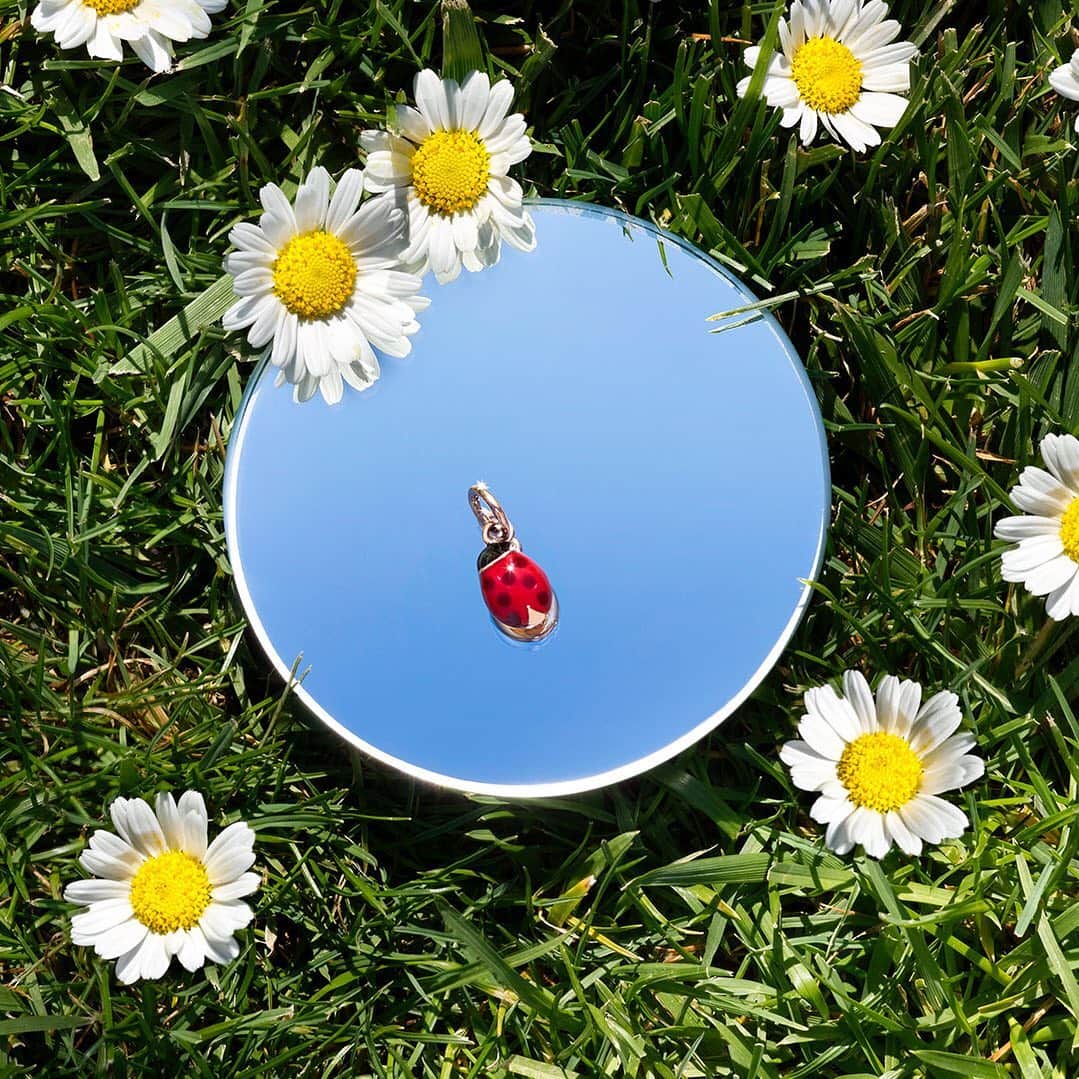 ドドさんのインスタグラム写真 - (ドドInstagram)「Dot, dot, dot…DODO! Make your FORTUNA bloom with the iconic DoDo Ladybug Charm. . . . #dodojewels #dodocharm #ladybug #ladyluck #naturecollection #mirror」6月28日 20時03分 - dodojewels