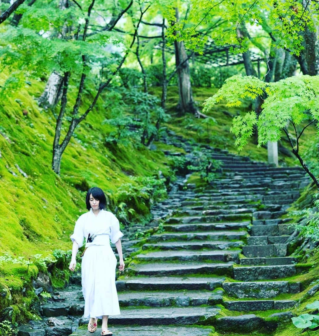 のインスタグラム：「梅雨の常寂光寺。宝雨が創る艶緑の楓と苔。  #常寂光寺 #宝雨 #艶緑 #楓 #苔 #kyoto #japan」