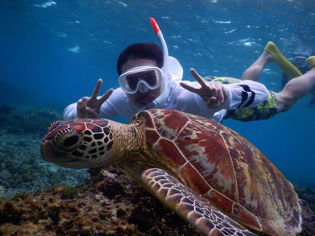 長友佑都さんのインスタグラム写真 - (長友佑都Instagram)「ウミガメと一緒に泳ぎました！ めっちゃ可愛いかった！」6月28日 20時55分 - yutonagatomo55