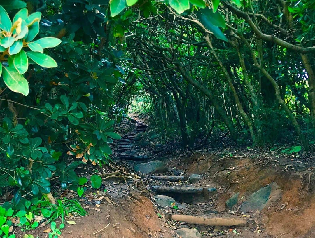 秋吉優花さんのインスタグラム写真 - (秋吉優花Instagram)「糸島！自然がいっぱいで気持ちいい👒✨ . 海鮮重、美味しかったなあ。 . . #大門茶屋いろり #ちなみに #1080円 #コスパえぐ #糸島グルメ #福岡グルメ #糸島ランチ #福岡ランチ #秋吉のご飯  #ジブリスポット #トトロの森 #って呼ばれてるらしい」6月28日 20時59分 - akiyoshi_1024