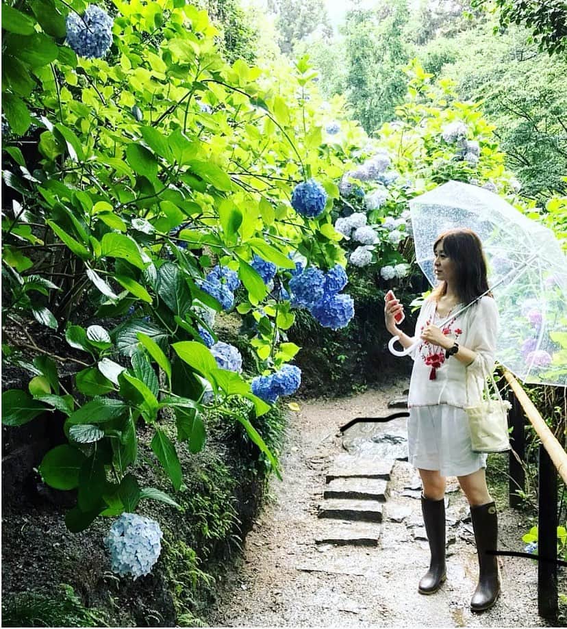 ree_mstorynさんのインスタグラム写真 - (ree_mstorynInstagram)「#coordinate  あじさい寺の紫陽花 ほんとにキレーでした …にしても 私と友達の雨率高すぎ 雨女なんやろうかぁ… 真剣にお祓いに行こうと思ってますw ・ ・ #紫陽花 #hydrangea #あじさい寺 #矢田寺 #奈良 #ootd #ootd_kob #雨の日コーデ #レインブーツ #dafna #ダフナ #梅雨 #rainyday #ホワイトコーデ #雨女 #雨降り #雨 #vsco #vscam」6月28日 21時39分 - ree_mstoryn