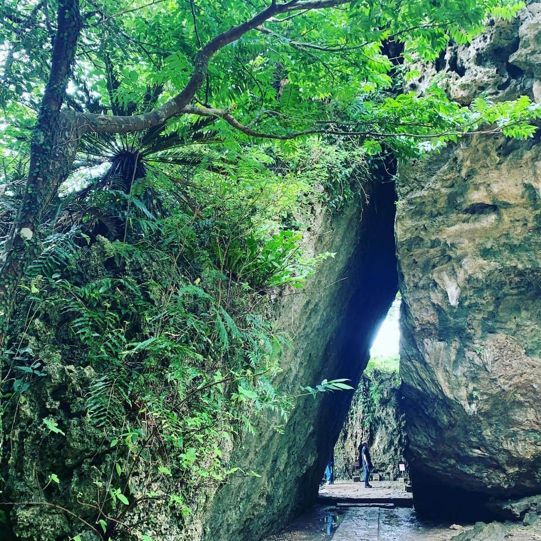 タビフク。さんのインスタグラム写真 - (タビフク。Instagram)「ここが沖縄最高の聖地 斎場御嶽 三庫裏 #tabifuku #bstbs #タビフク #沖縄 #世界遺産 #聖地」6月28日 21時48分 - tabifuku_tbs