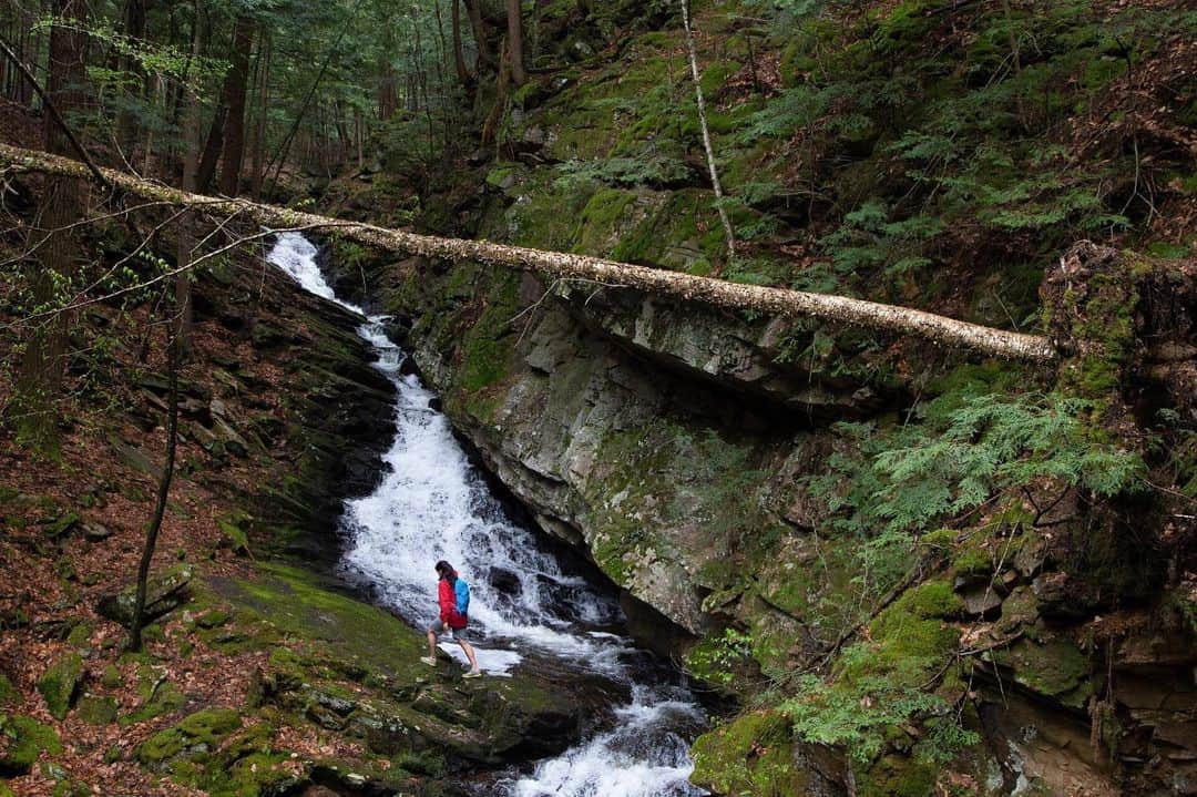 National Geographic Travelさんのインスタグラム写真 - (National Geographic TravelInstagram)「Photo by @jodymacdonaldphoto // Sponsored by @visitnh // Located off Route 9 in Chesterfield, New Hampshire, is a little-known gorge that will surprise you. The Chesterfield Gorge State Park has an easy 0.7-mile hiking trail loop that leads you to another world. Here you can walk alongside the beautiful Wilde Brook and watch as it cascades down the carved-out bedrock, creating a series of waterfalls under a lush forest canopy. This spectacular natural area spans 13 acres and is a geological wonder that provides excellent opportunities for hiking, exploring, and picnicking among some of New Hampshire’s most breathtaking views. // Whether your idea of fun is camping, hiking, or visiting wineries, summer is a time for the “Live Free” state to really shine. See more of what you can explore in New Hampshire at @visitnh.」6月28日 22時02分 - natgeotravel