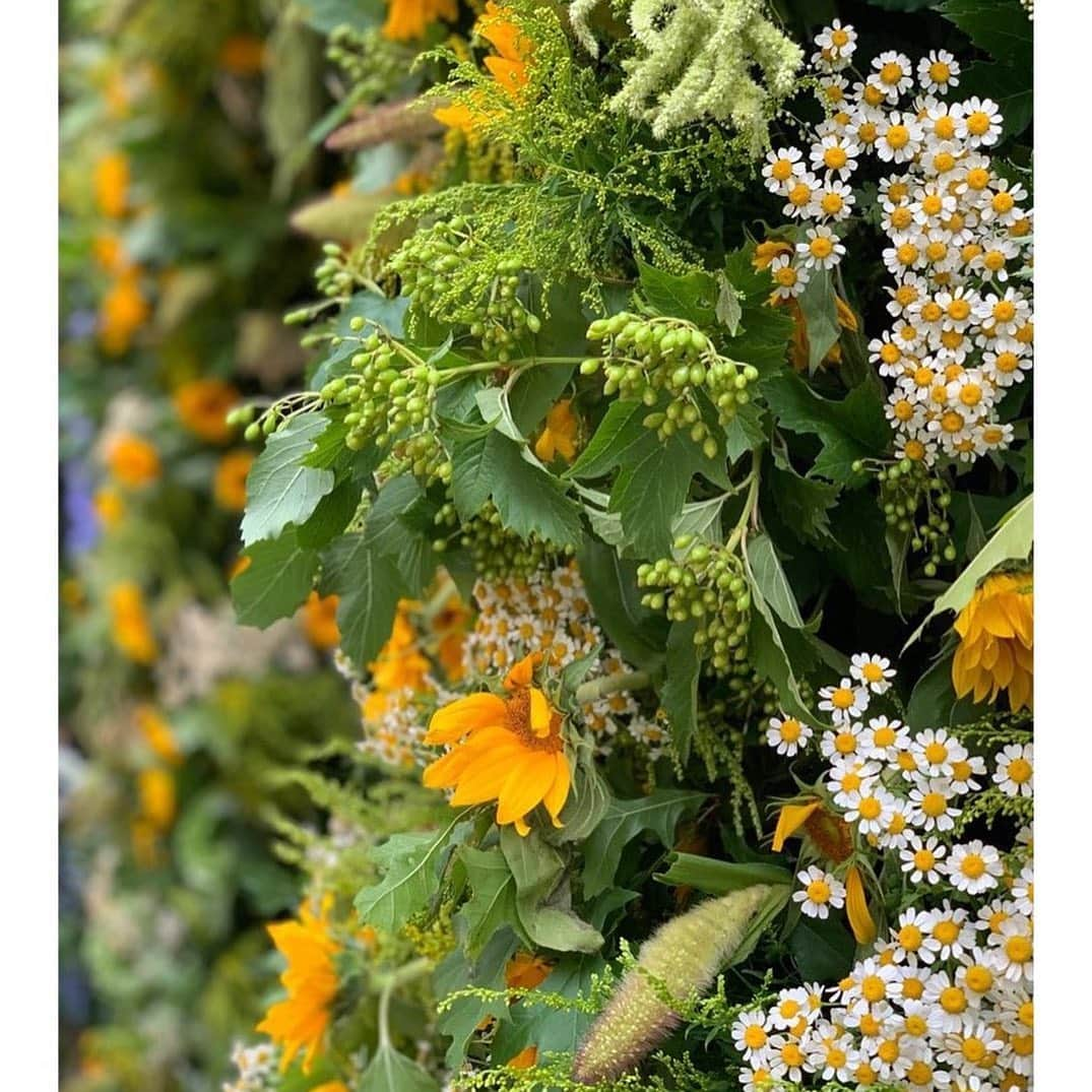 ハン・ウンジョンさんのインスタグラム写真 - (ハン・ウンジョンInstagram)「. . #플라워아치🌿🥀🌱 . #flowerarchi . #웨딩 #이벤트 #포토존」6月28日 22時14分 - dagam_han