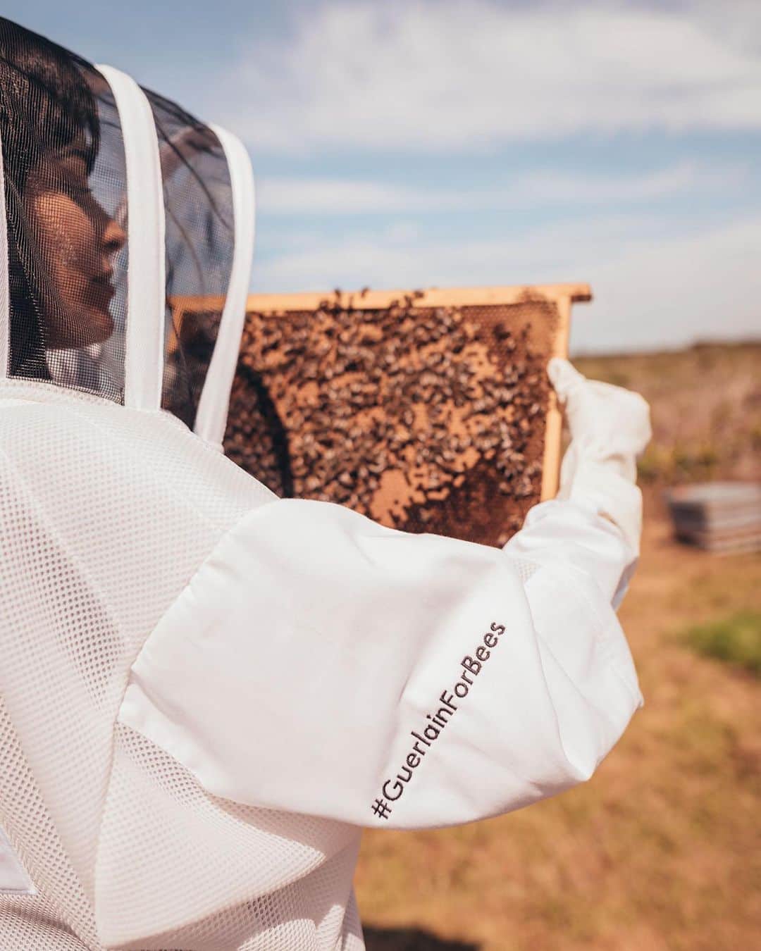 ゲランさんのインスタグラム写真 - (ゲランInstagram)「Let’s talk about 🐝. Did you know: - There are 25 000 wild bee species worldwide. - 80% of plants depend on pollinators for their reproduction. - One hive can contain up to 40 000 bees. ⠀ ⠀⠀⠀. - On average a 🐝 travels 5km a day. ⠀ ⠀ ⠀⠀⠀⠀⠀⠀⠀⠀⠀ ⠀⠀⠀⠀⠀⠀⠀ The bee has been a special part of #Guerlain since our creation & in 2015 we partnership with The French Beekeeping Observatory to assist in the development & preservation of these precious creatures #InTheNameOfBeauty ⠀⠀⠀⠀⠀⠀⠀⠀⠀ 📸 by @nicolasstajic feat. @constancejablonski @themayaahmad ⠀ ⠀⠀⠀⠀⠀⠀ ⠀⠀⠀⠀⠀⠀⠀ ⠀⠀ #guerlain #guerlainforbees #guerlainskincare #bees #abeilleroyale」6月28日 22時20分 - guerlain