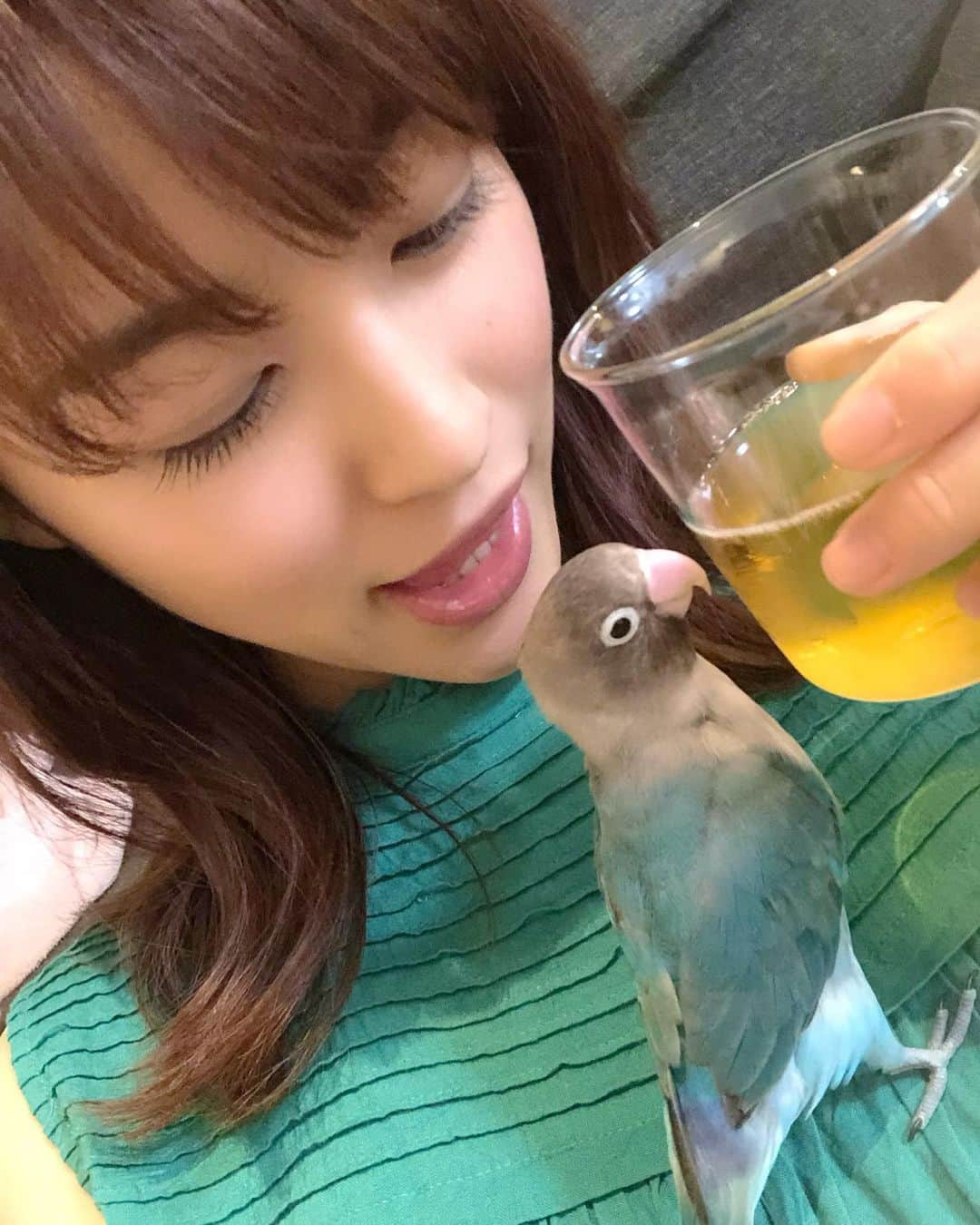 新井恵理那さんのインスタグラム写真 - (新井恵理那Instagram)「これはダメよー！注意しないと何にでも興味を示すわんぱくちゃんなので、、！ #ビール #ラピス #ブルーボタンインコ #新井恵理那」6月28日 22時23分 - elina_arai