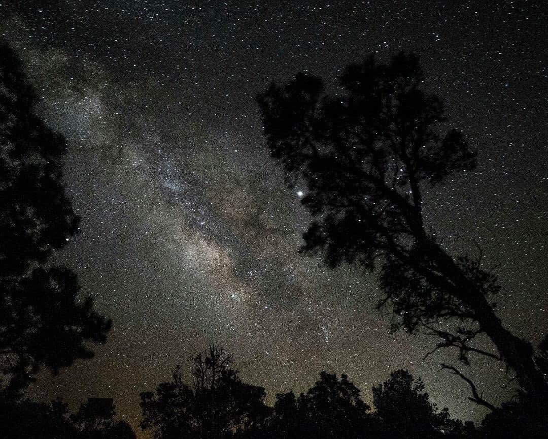 Ricoh Imagingさんのインスタグラム写真 - (Ricoh ImagingInstagram)「Posted @withrepost • @frankleeruggles Junipers and Jupiter in June at the South Rim of the Grand Canyon. ...oh, and the Milky Way, too.  @grandcanyonnps  #grandcanyon #grandcanyonnationalpark #instaphoto #nationalparkgeek #petapixel @nationalparkservice  @nationalparktrust @usinterior #earth.awesome  #NPGeekAmbassador #optoutside  #planet_earth_shots  #awesome.geography #earth_shotz #arizona @milkywaychasers #nevada #nationalparkgeek @natgeo  #outdoorphotomag #national_park_phototography #pentax645z #pentax645ambassador @ricohpentax @ricohusa  #nightsky #astrophotography #milkyway #astronomy #nightscape #astrophoto  #starrynight  #ig_astrophotography  #stargazing #nightphotography #longexposure  #natgeospace #milkywaygalaxy」6月29日 0時12分 - ricohpentax