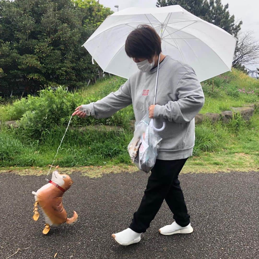 杉本美香さんのインスタグラム写真 - (杉本美香Instagram)「・ 大山加奈ちゃんもだいずくんも扇風機仲間入り💛☺️ ・ 1枚目は現在のだいずくん❣️ ・ 2枚目は初めましての時のだいずくんに扇風機攻撃をしていた私😂笑 ・ 3.4枚目は小さい時のだいずくん❣️ ・ 5.6枚目は以前ドッグランへ行った時の写真🐕 私の愛犬ダンディーくんも連れてドッグラン🤣笑 ・ 私のダンディーくんは車にいます🚗笑 誰か中に入れるガスをください😅笑 ・ ってことで、扇風機仲間紹介とだいずくんとダンディーくんでした🤣🐕❣️笑 ・ #扇風機仲間 #大山加奈 ちゃん @kanaoyama0619  #だいずくん #ダンディーくん #私しょうきです #笑笑 #関西人は楽しいこと大好き #笑顔 #smile😊」6月29日 0時15分 - mika__sugimoto