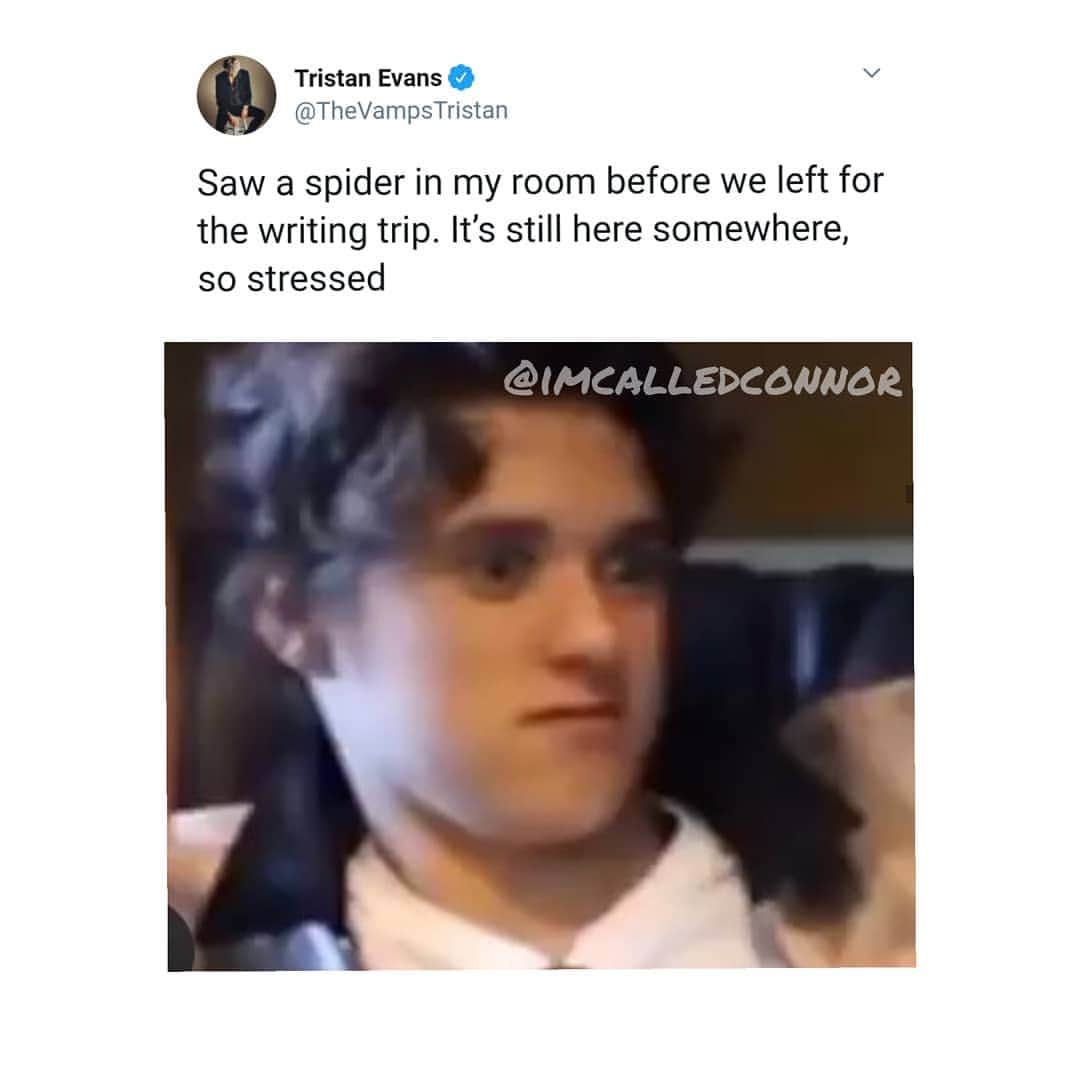 コナー・ボールのインスタグラム：「CAN! YOU! HEAR! ME! SCREAMING!?」