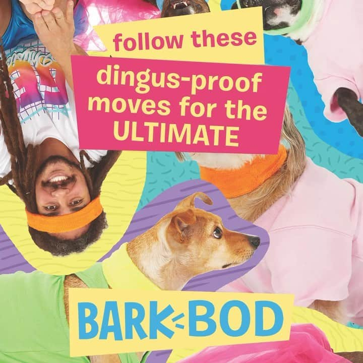 BarkBoxのインスタグラム